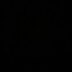 Meet your Posher, Summer